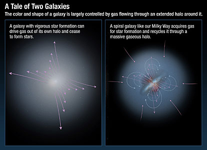 A tale of two galaxies