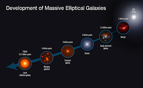 Development of massive elliptical galaxies