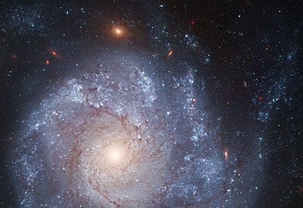 Spiral galaxy NGC 1309
