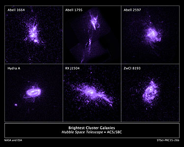Brightest Cluster Galaxies