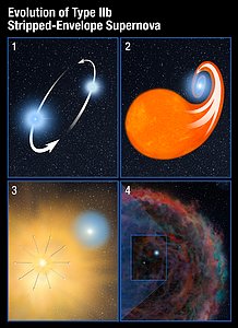 Evolution of Type IIb Stripped-Envelope Supernova
