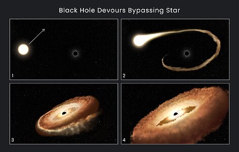 Hubble Finds Hungry Black Hole Twisting Captured Star Into Donut Shape