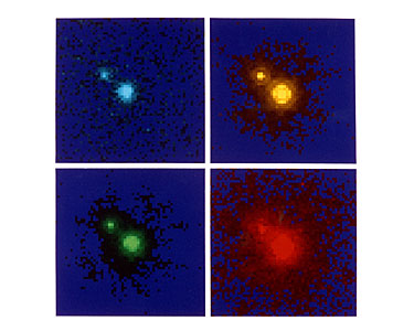 NASA/ESA Hubble Space Telescope colour images of gravitational lenses