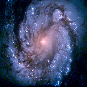 Spiral Galaxy M100