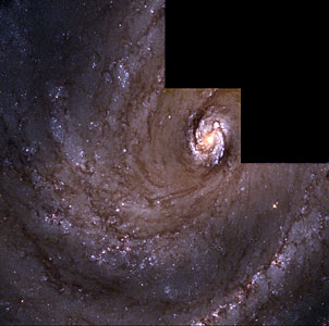 The Spiral Galaxy M 100