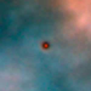 Protoplanetary disc in the Orion Nebula