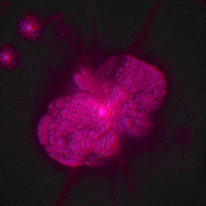 3D Image of Eta Carinae