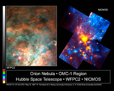 The Orion Nebula OMC-1 Region