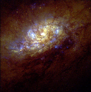 Starburst Galaxy NGC 1808