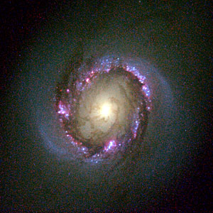 Galaxy NGC 4314 (Hubble view)