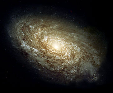 Magnificent details in a dusty spiral galaxy