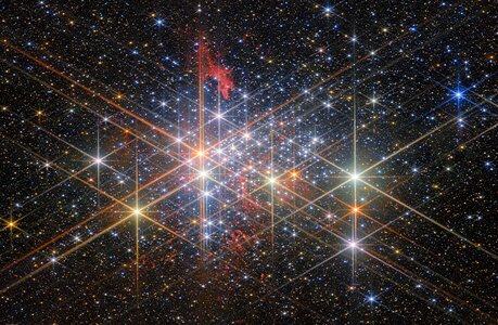 The exotic stellar population of Westerlund 1