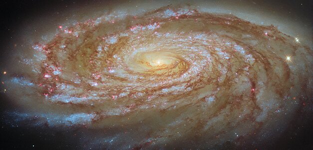 Hubble-Aufnahme der schräg gesehenen Spiralgalaxie M88 mit eng gewundenen blauen Spiralarmen und rosafarbenen Sternentstehungsgebieten
