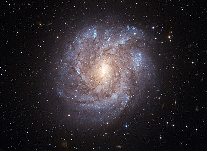 The dusty beauty of NGC 2082