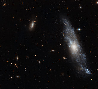 A fine Hydra spiral