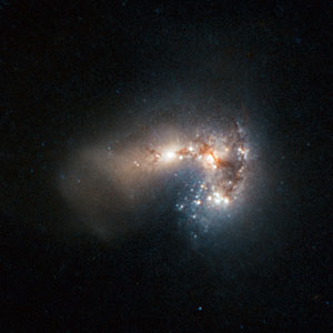 Frenzied star birth in Haro 11