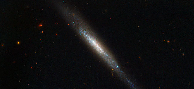 Edge-on galaxy hosts supernova explosion