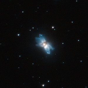 A starfish in the sky