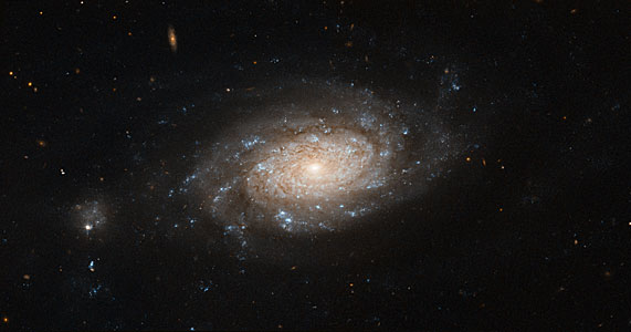 Hubble spots a busy barred spiral