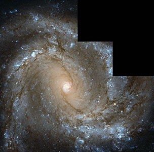 Messier 61 looks straight into the camera