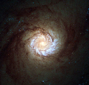 A hungry starburst galaxy