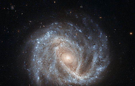 A curious supernova in NGC 2441