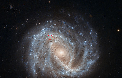 A curious supernova in NGC 2441 (annotated)