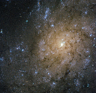 Jets and explosions in NGC 7793