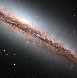 Dust filaments of NGC 4217