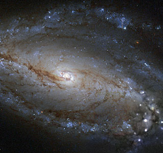 A spiral galaxy’s brights and darks