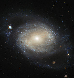 Elegant spiral hides a hungry monster