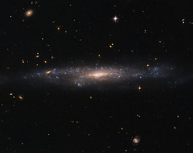 Hiding in the night sky