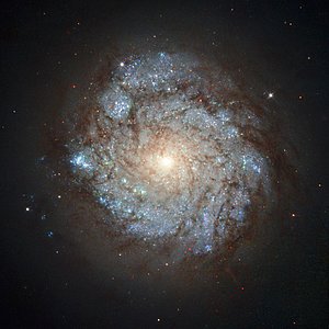 Cassiopeia’s unusual resident