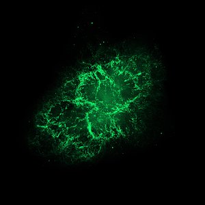 Hubble Space Telescope (visible) Image of the Crab Nebula