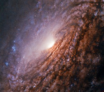 A galaxy with a bright heart