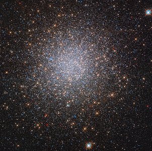 The two mysterious populations of NGC 2419