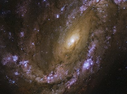 An explosive galaxy