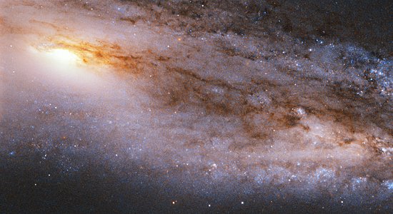 Trillions of stars