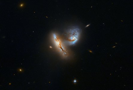 Galactic Creatures at Play