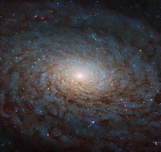 A Galactic Portal