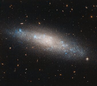 Placed Among the Stars