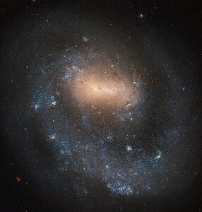 Single Arm Galaxy