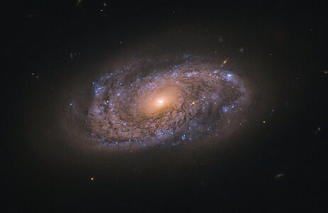 Hunting for Dead Stars