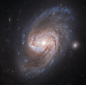 Galaxy Galaxy, Burning Bright!