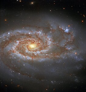 Two Supernovae, One Galaxy