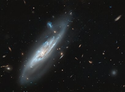A Discovery of Ghostly Arms