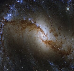Survey of the Stars