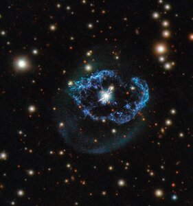 A Flash of Life