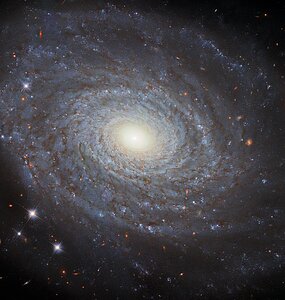 The Eponymous NGC 691
