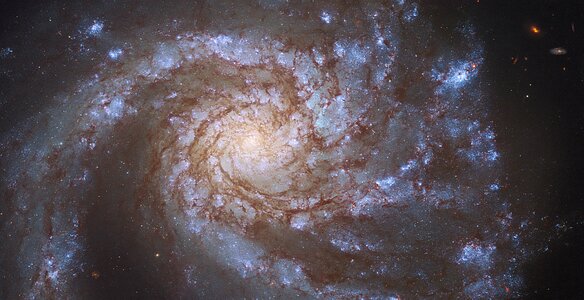 Hubble Sees Double in M99